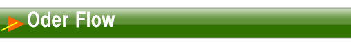 title_order_flow